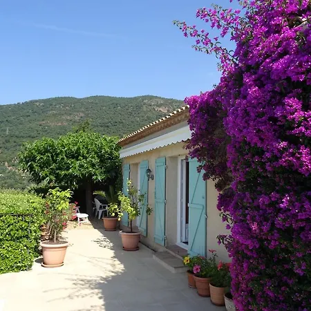 Helios Bed & Breakfast Cavalaire-sur-Mer